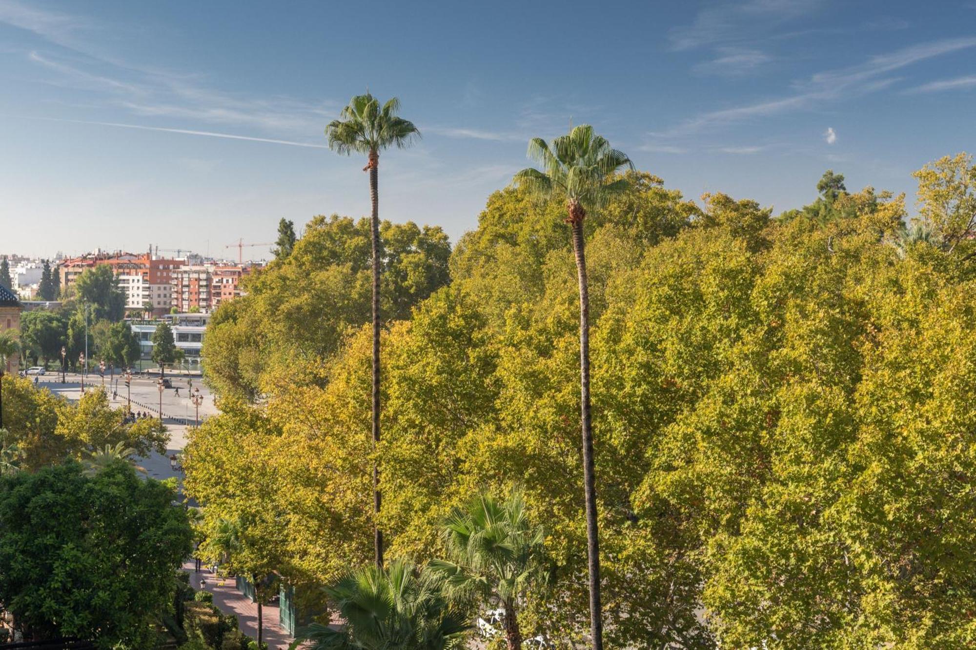 Alfonso Xiii, A Luxury Collection Hotel, Hotel 5*